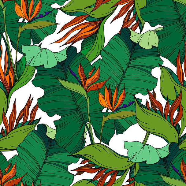 Vector Tropical floral botanical flowers. Black and white engraved ink art. Seamless background pattern. - Vecteur, image