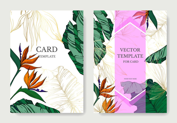Vector Tropical floral botanical flowers. Engraved ink art. Wedding background card decorative border. - Vector, Image