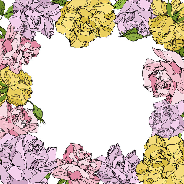 Vector Rose floral botanical flowers. Wild spring leaf wildflower. Engraved ink art. Frame border ornament square. - Вектор, зображення