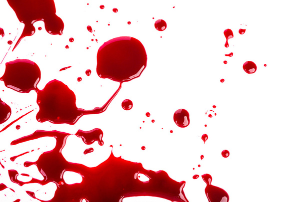 Halloween concept : Blood splatter on white background - Фото, изображение