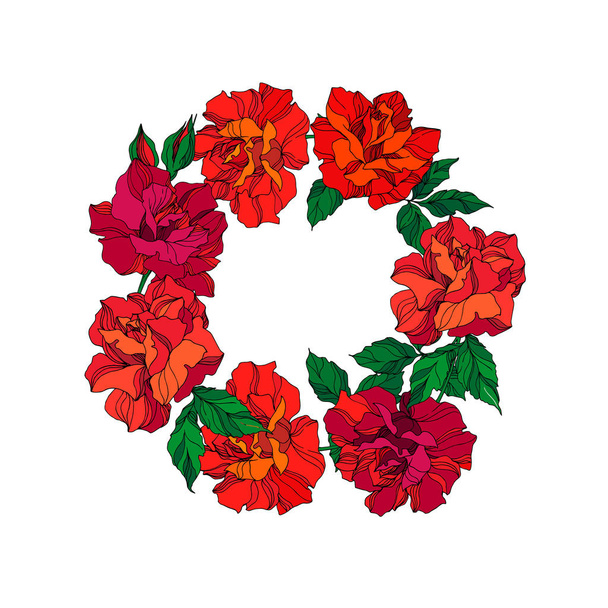 Vector Rose floral botanical flowers. Green ahd red engraved ink art. Frame border ornament square. - Vector, Image