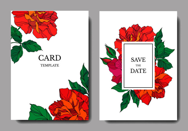 Vector Rose flores botânicas florais. Tinta vermelha e verde gravada arte. Casamento cartão de fundo floral borda decorativa
. - Vetor, Imagem