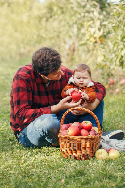 Happy father with baby boy on farm picking apples in wicker basket. Gathering of autumn fall harvest in orchard. Dad feeding son with healthy snack. Seasonal activity hobby.  - Fotó, kép