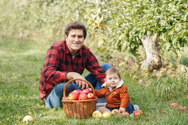 Buon padre con bambino in fattoria a raccogliere mele in cesto di vimini. Raccolta della raccolta autunnale nel frutteto. Papà che nutre il figlio con uno spuntino sano. Attività stagionale hobby.  - Foto, immagini