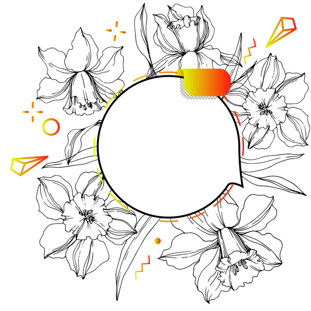 Vector Label tags set. Engraved ink art. Isolated sticker illustration element. Narcissus floral botanical flower. - Vector, Image