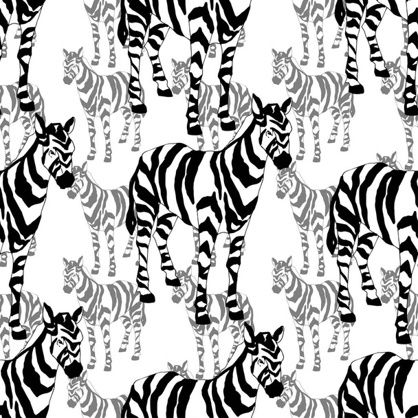 Vektör egzotik zebra izi izole edilmiş vahşi bir hayvan. Siyah beyaz işlemeli mürekkep sanatı. Kusursuz arkaplan deseni. - Vektör, Görsel