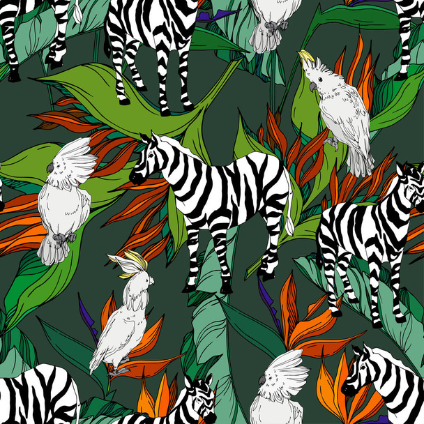 Vector Exotic zebra print wild animal isolated. Black and white engraved ink art. Seamless background pattern. - Vector, afbeelding