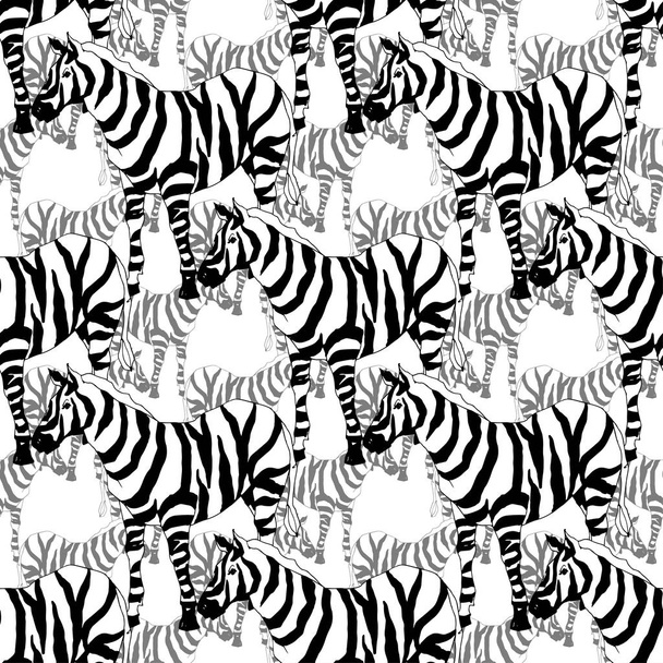 Vector Exotic zebra print wild animal isolated. Black and white engraved ink art. Seamless background pattern. - Vektör, Görsel