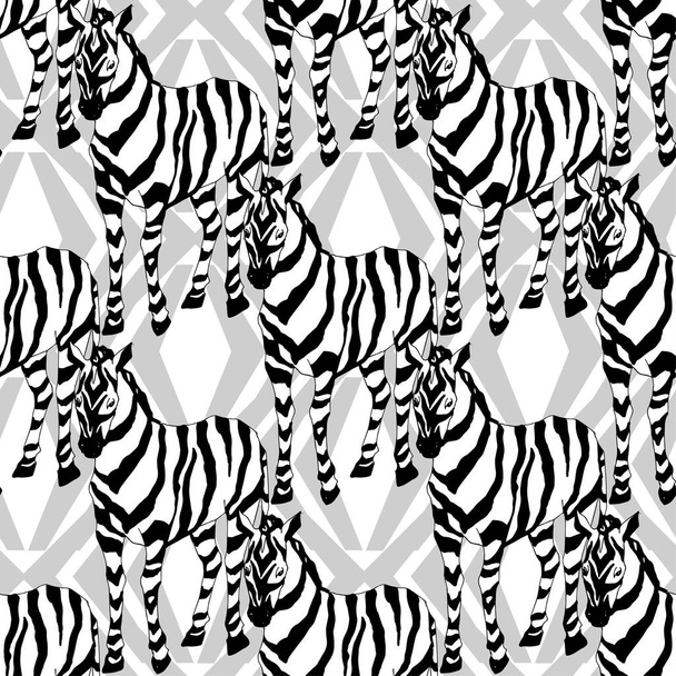 Векторная экзотическая зебра печатает дикое животное изолировано. Черно-белый рисунок чернил. Бесшовный рисунок фона
. - Вектор,изображение
