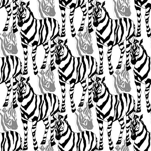 Vector Cebra exótica imprimir animal salvaje aislado. Tinta grabada en blanco y negro. Patrón de fondo sin costuras
. - Vector, Imagen