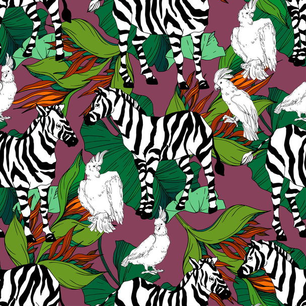 Vector Exotic Zebra Print Wild Animal Isolated. Free Stock Vector Graphic  Image