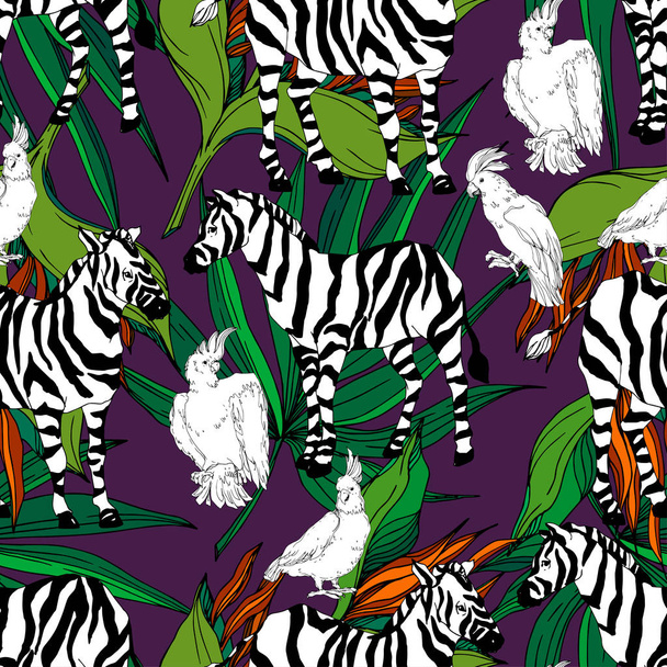 Vector Exotic zebra print wild animal isolated. Black and white engraved ink art. Seamless background pattern. - Vector, Image