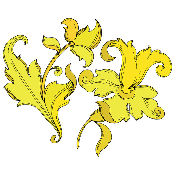 Vector Gold monogram floral ornament. Black and white engraved ink art. Isolated ornaments illustration element. - Vetor, Imagem