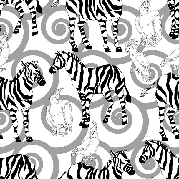 Vector Cebra exótica imprimir animal salvaje aislado. Tinta grabada en blanco y negro. Patrón de fondo sin costuras
. - Vector, Imagen
