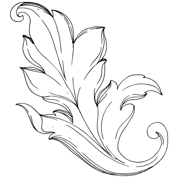 Vector Baroque monogram floral ornament. Black and white engraved ink art. Isolated ornaments illustration element. - Вектор,изображение