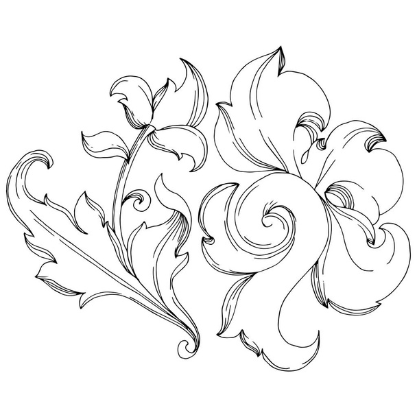 Vector Baroque monogram floral ornament. Black and white engraved ink art. Isolated ornaments illustration element. - Vector, Image