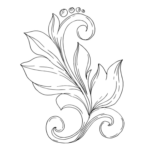 Vector Golden monogram floral ornament. Isolated ornament illustration element. Black and white engraved ink art. - ベクター画像
