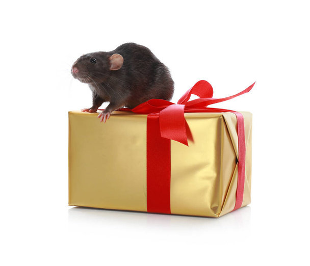 Cute little rat and gift box on white background. Chinese New Year symbol - Fotografie, Obrázek