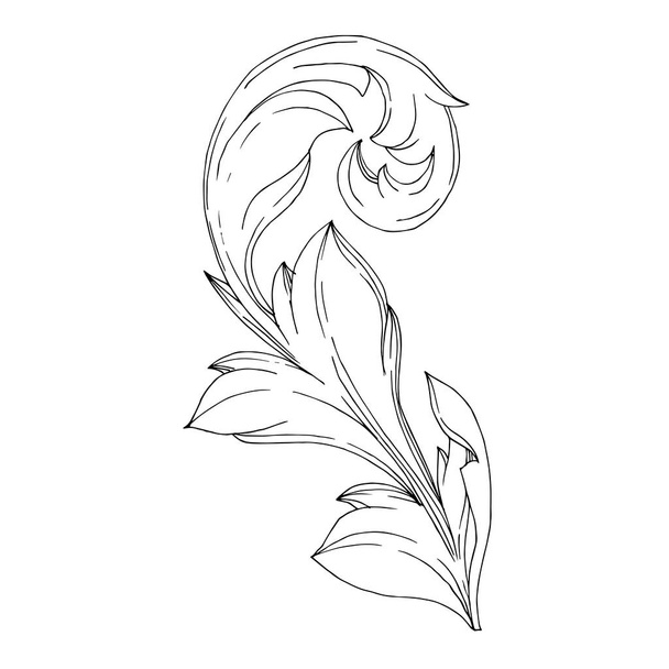 Vector Baroque Monogram floral ornament. Black and white engraved ink art. Isolated ornament illustration element. - Vector, imagen