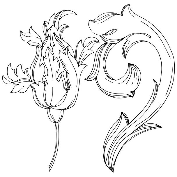 Vector Baroque monogram floral ornament. Black and white engraved ink art. Isolated monogram illustration element. - ベクター画像