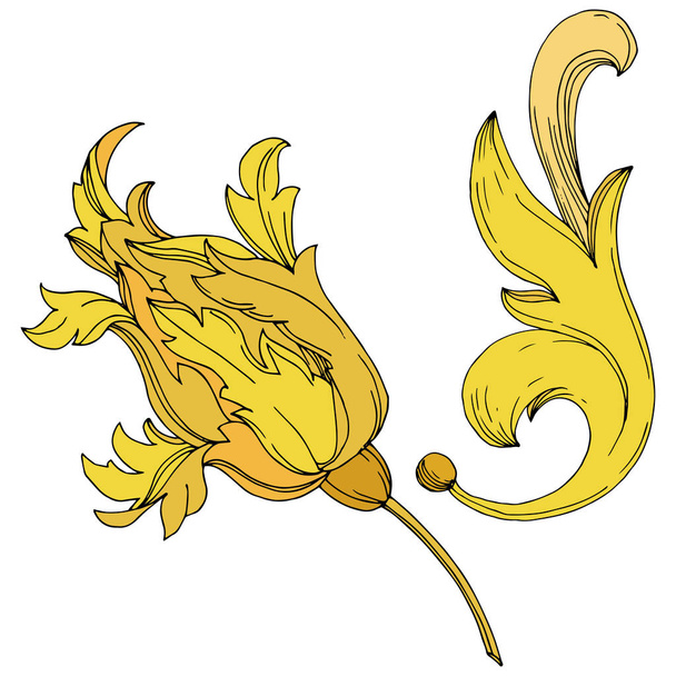 Vektor goldenes Monogramm florales Ornament. Schwarz-weiß gestochene Tuschekunst. Isoliertes Monogramm-Illustrationselement. - Vektor, Bild