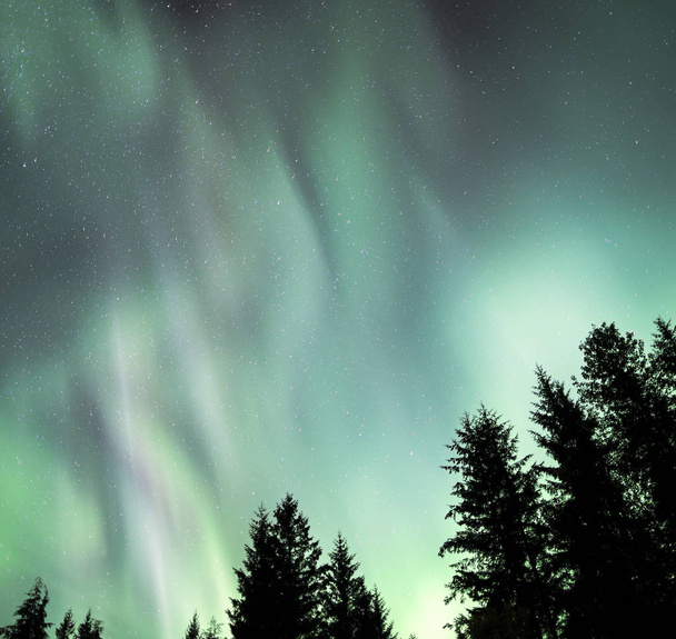 Nordlichter-Show in Südost-Alaska - Foto, Bild