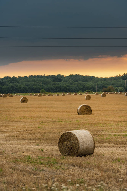 Um campo com fardos de palha após a colheita durante o pôr do sol
 - Foto, Imagem