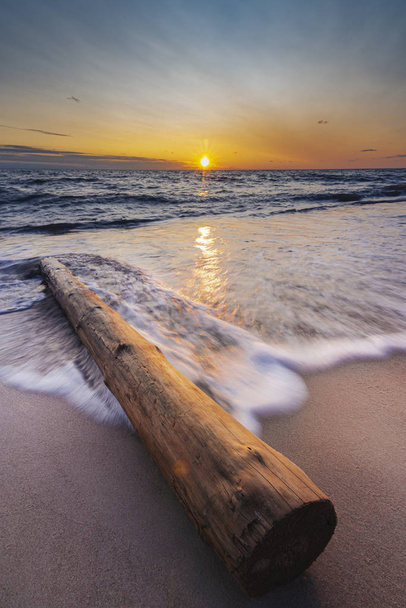 Ξύλινο κοντάρι ξεβρασμένο στην παραλία κατά τη διάρκεια του ηλιοβασιλέματος στη Βαλτική Θάλασσα.  - Φωτογραφία, εικόνα