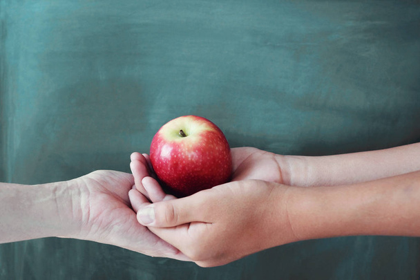 Student and teacher hands holding red apple with blackboard back - Fotó, kép