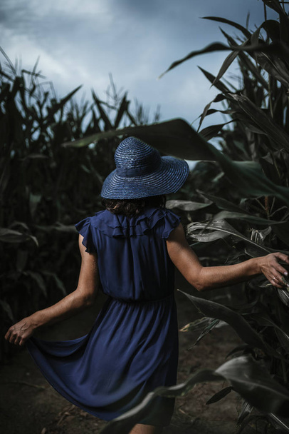 schöne Frau mit blauem Hut von hinten im Maisfeld bei stürmischen Wolken. - Foto, Bild