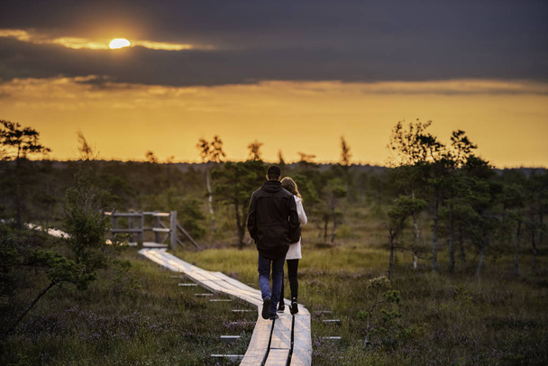 rear view of people walking by wooden path on sunset background - Fotoğraf, Görsel