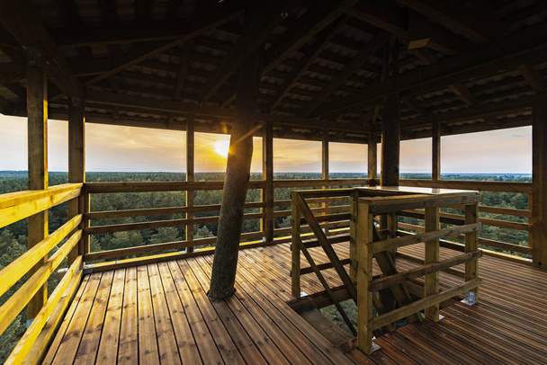 View from a top of a wooden tower during sunset in autumn evening - Foto, afbeelding