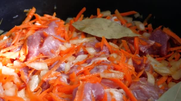 Krájené syrové vepřové maso s kořením, mrkví, cibulí a bobkovým listem - Záběry, video
