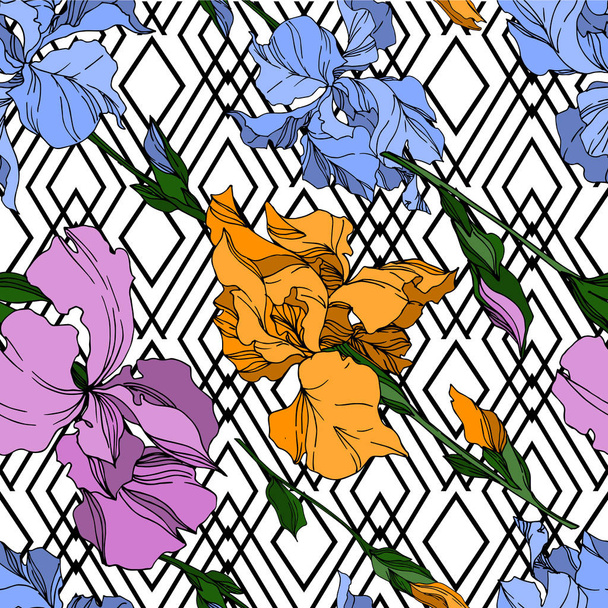 Διάνυσμα Iris λουλούδια βοτανικό. Μαύρο και άσπρο χαραγμένο i - Διάνυσμα, εικόνα