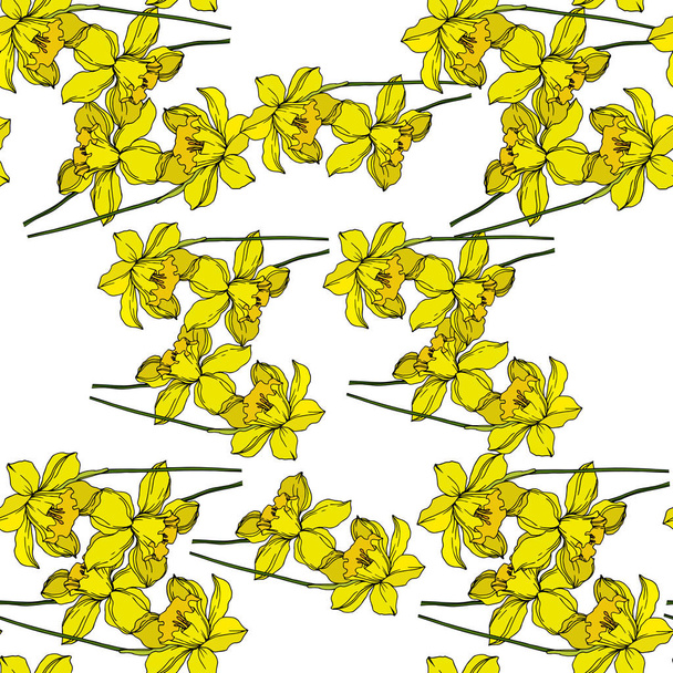 Vecteur Narcisse fleurs botaniques florales. Engra noir et blanc
 - Vecteur, image