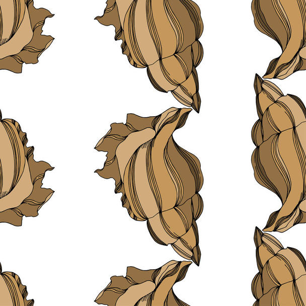 Vector Nyári strand kagyló trópusi elemek. Fekete-fehér  - Vektor, kép