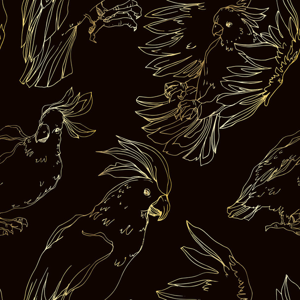 Cacatúa de aves Vector Sky en una vida silvestre aislada. Blanco y negro
 - Vector, Imagen