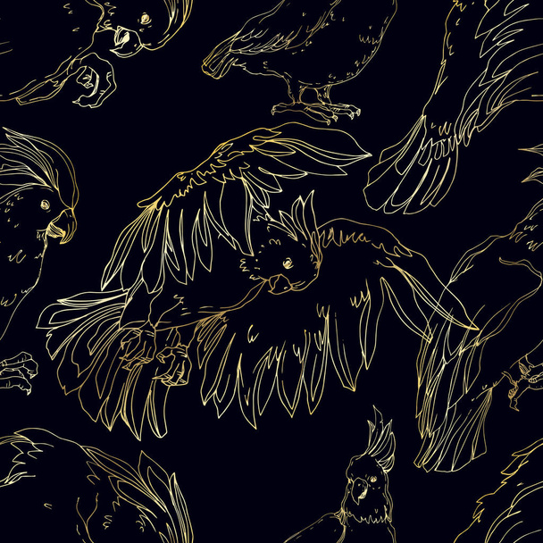 Cacatua uccello Vector Sky in una fauna selvatica isolata. Bianco e nero
 - Vettoriali, immagini