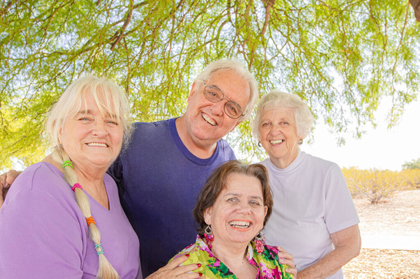 Grupo de amigos seniores ao ar livre
 - Foto, Imagem