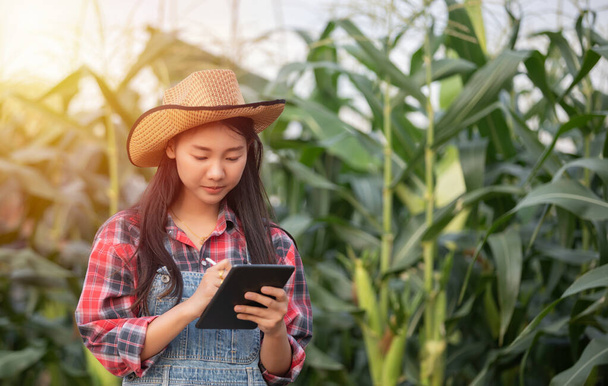 Asian women Agronomist and farmer  Using Technology for inspecti - Foto, Imagen