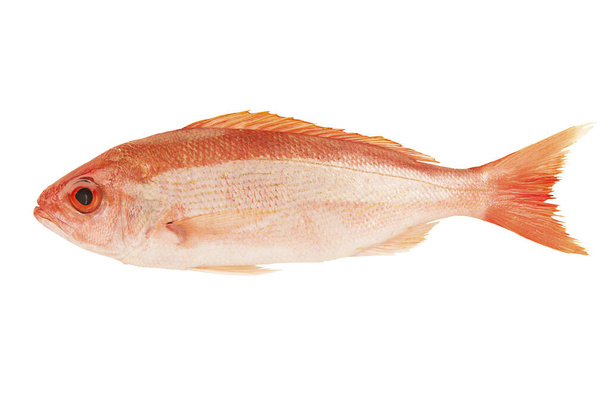 Красная сырая рыба выделена на белом фоне. Прекрати.
. - Фото, изображение