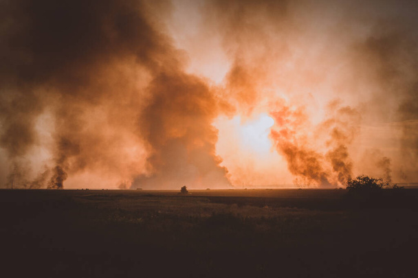gras brandt in een weide - Foto, afbeelding