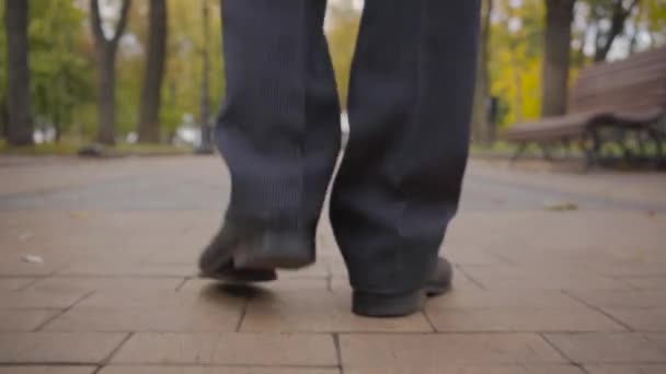 Back view of male legs in black classic pants and shoes walking along the alley covered with yellow leaves. - Video