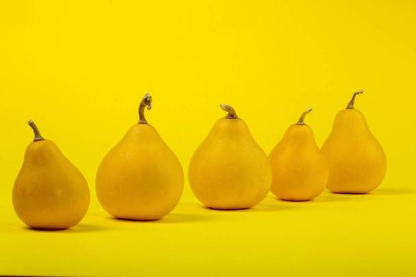 Zucca decorativa a forma di pera su sfondo giallo
 - Foto, immagini
