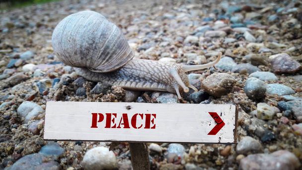 Značení na míru - Fotografie, Obrázek
