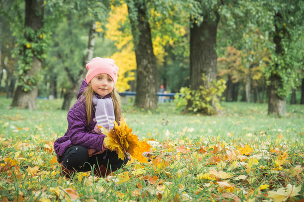 Autumn little girl Portrait In Fall Yellow Leaves - Fotoğraf, Görsel