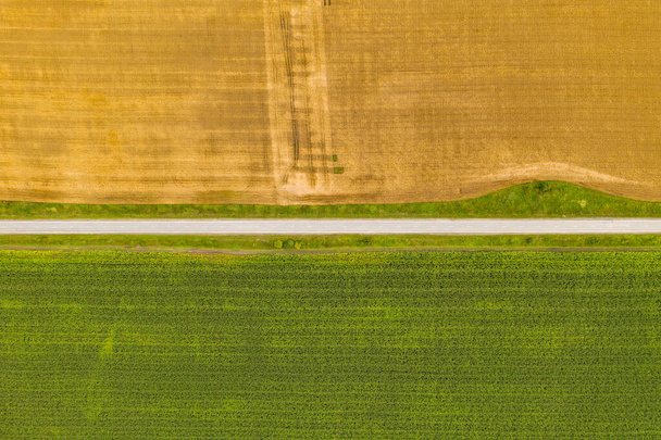 Aerial top view drone photography of a land with sown green fields in countryside - Foto, Bild