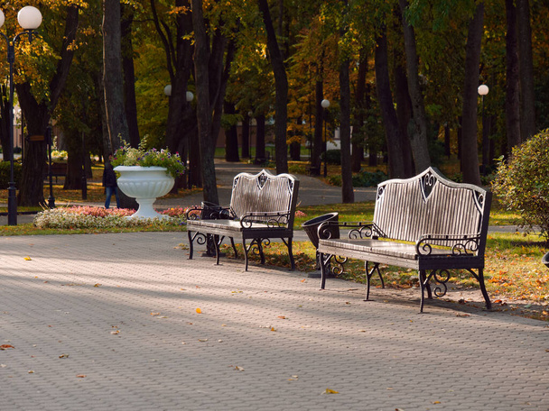 Autumn landscape in a city park. Gomel, Belarus - Photo, Image