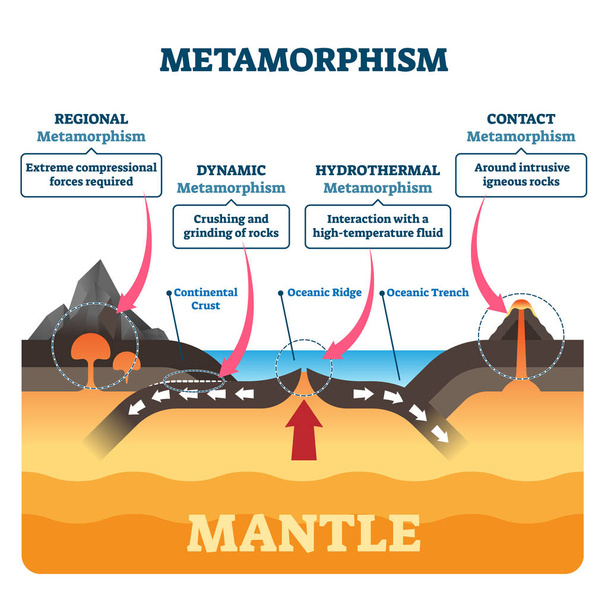 Illustrazione vettoriale del metamorfismo. Cambiamento della struttura geologica minerale etichettata
 - Vettoriali, immagini