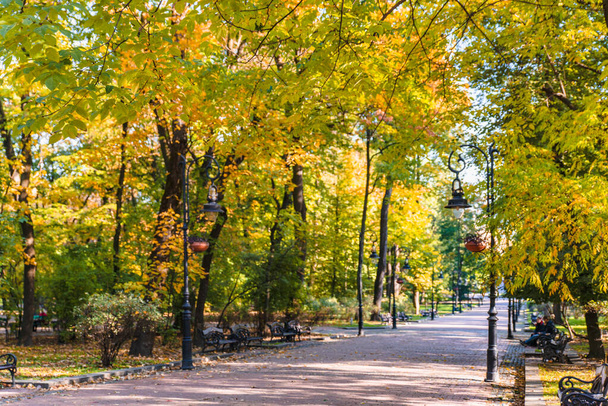 otoño se acerca vista del parque de la ciudad con árboles amarillos y verdes
 - Foto, Imagen